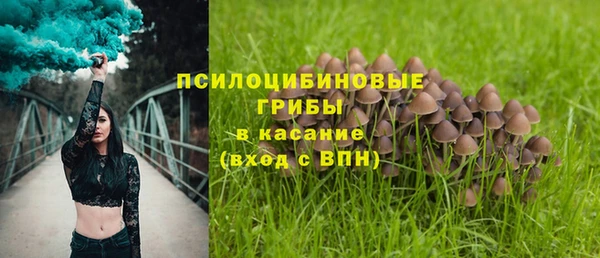 меф Алексеевка