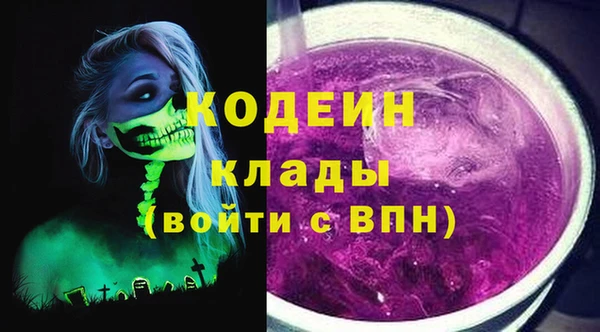 дурь Алексин