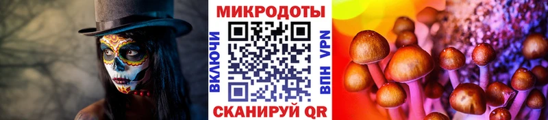 Псилоцибиновые грибы Psilocybine cubensis  МЕГА как войти  Луза  купить наркотики сайты 